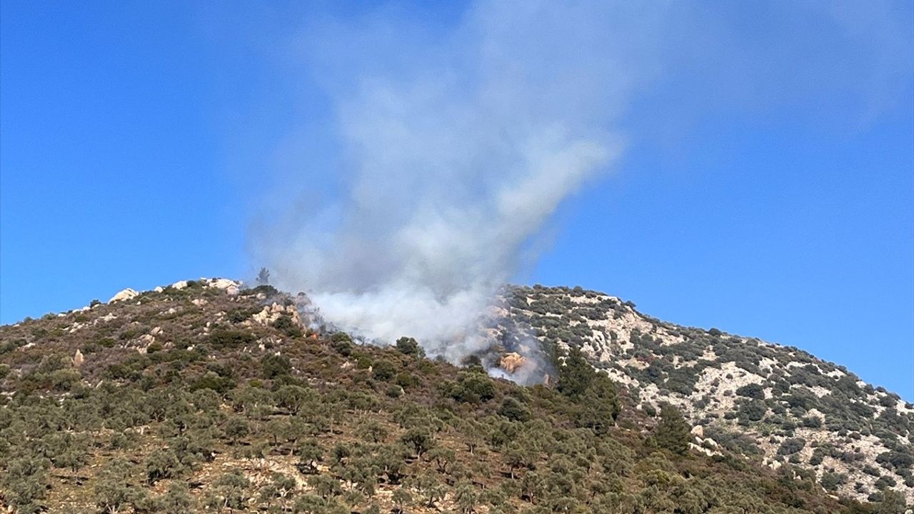 Milas'ta Makilik Alanda Yangın Çıktı