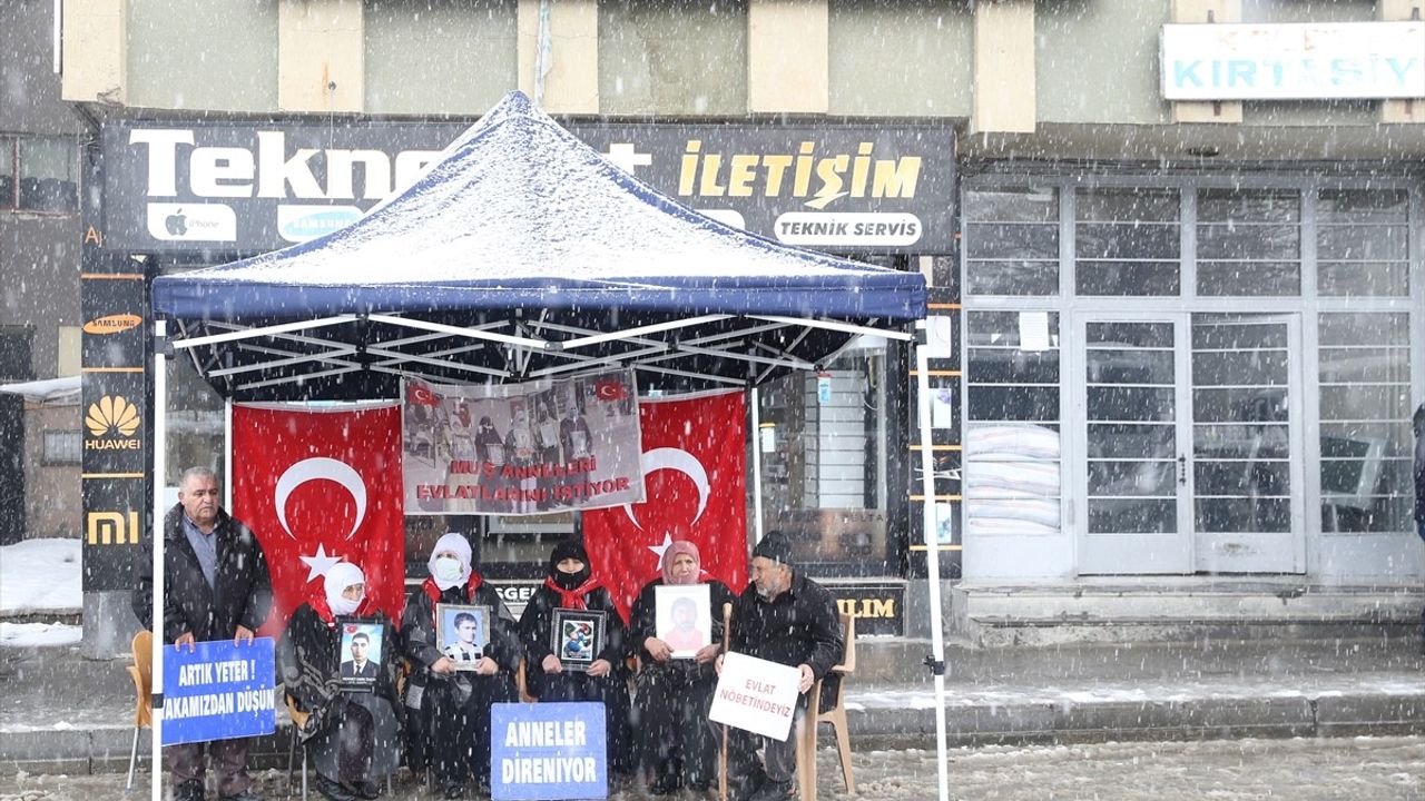 Muş'ta Evlat Nöbeti Devam Ediyor: Aileler DEM Parti Önünde Eylemde