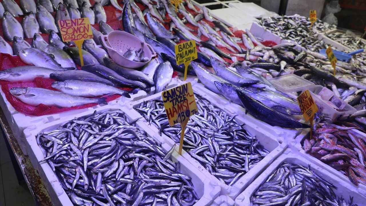 Samsun'da Hamsi Fiyatları 130-200 Lira Arasında Değişiyor