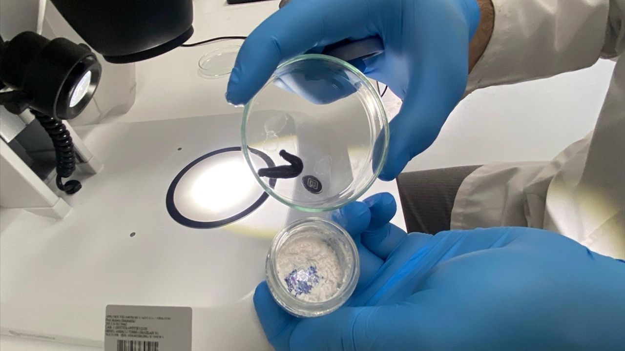 Sülük Salgısı ile İltihaplı ve Otoimmün Hastalıklara Alternatif Tedavi Yöntemi