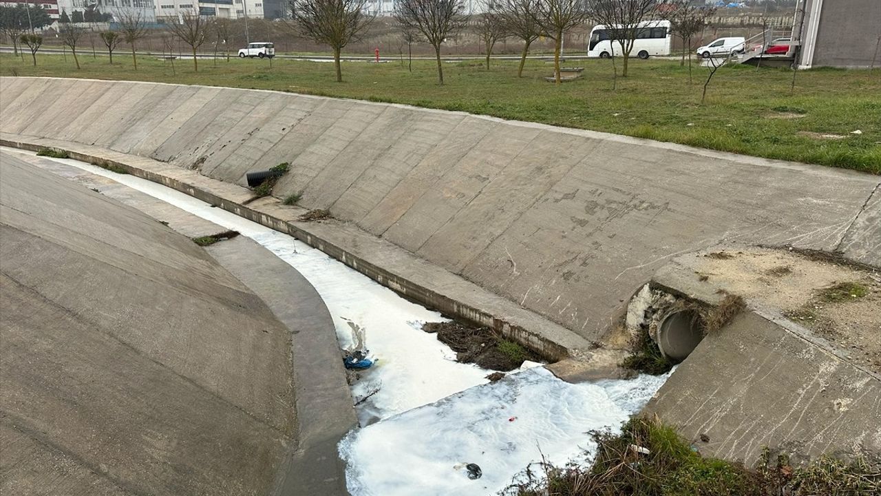 Tekirdağ'da Kavak Deresi neden beyaza döndü?