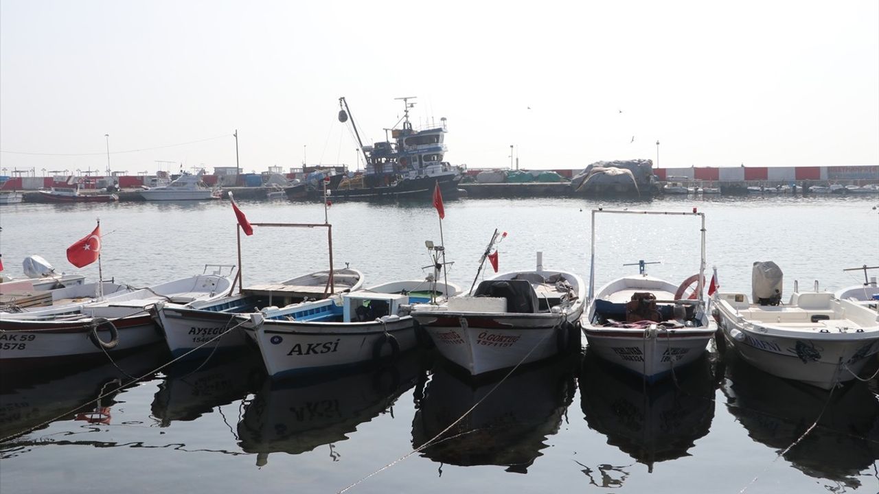 Tekirdağlı Balıkçılar Hamsi ve İstavrit İçin Denize Açıldı