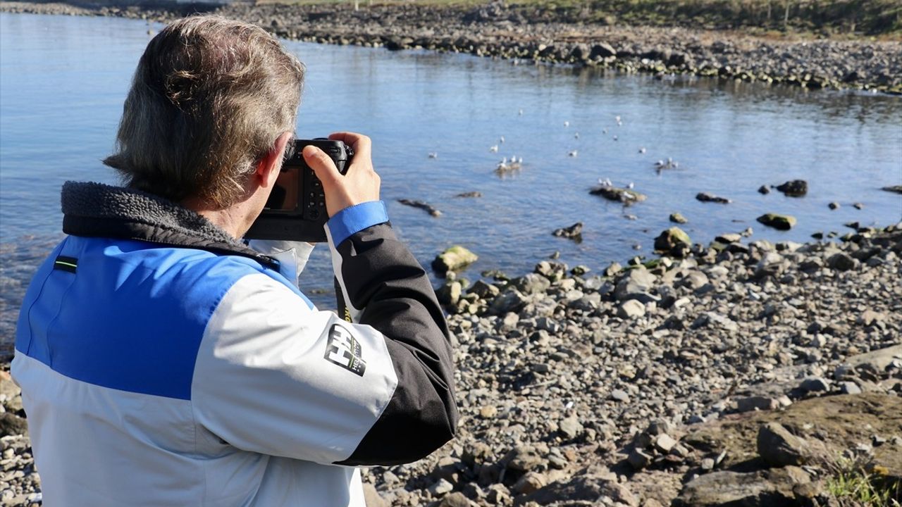 Trabzon'da Kuş Fotoğrafçısı Öğretmen: Orhan Turan'ın 250 Tür Macerası
