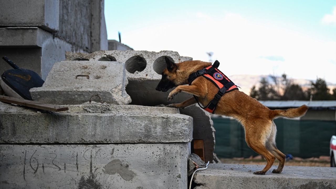 TSK İnsani Yardım Tugayı'ndan Başarılı Arama Kurtarma Tatbikatı