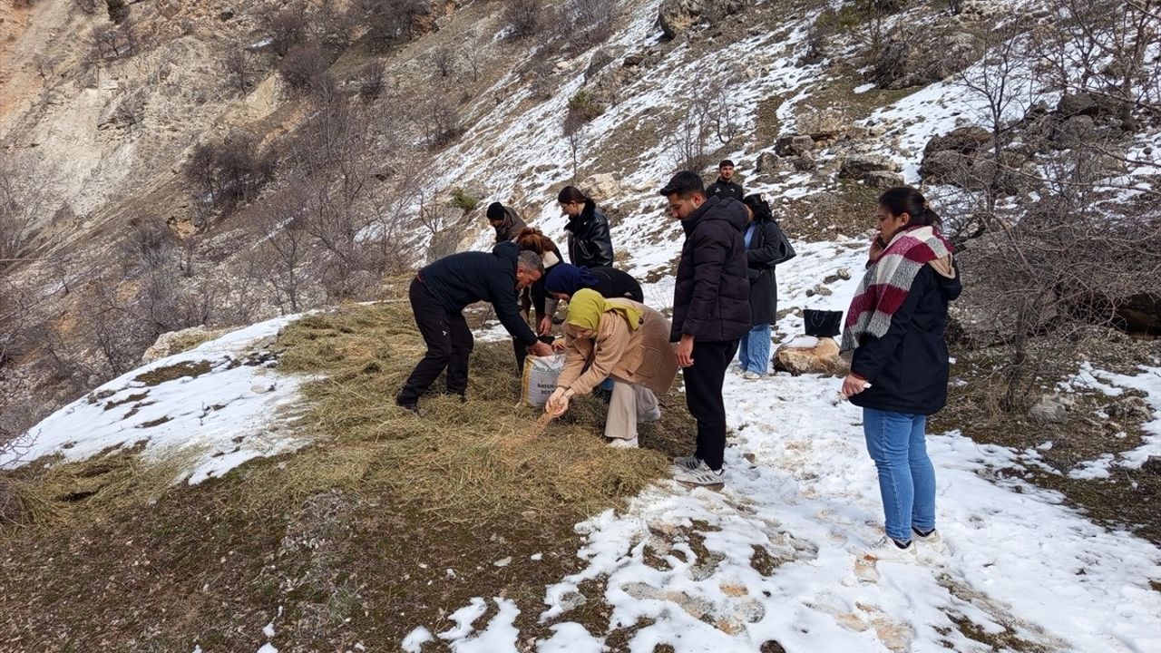 Tunceli'de Üniversite Öğrencileri Yaban Hayvanları İçin Doğayı Besledi