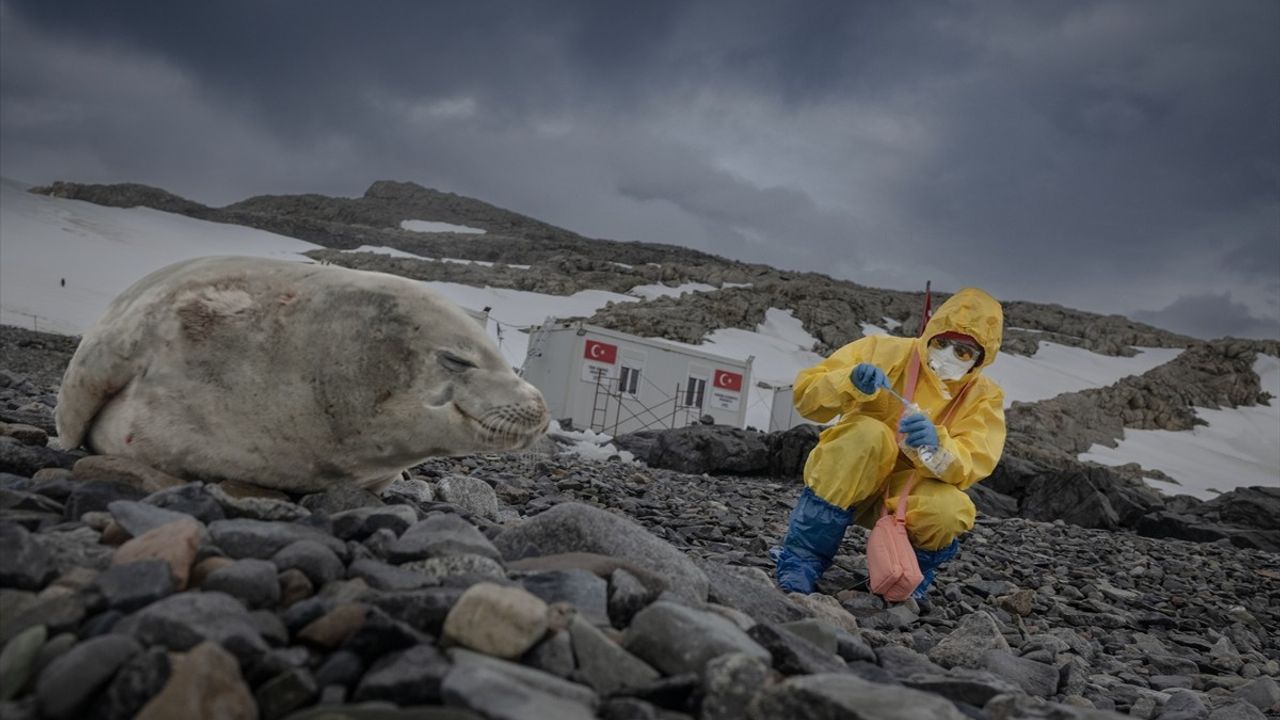Türk Bilim Ekibi Antarktika'da Çalışmalara Başladı