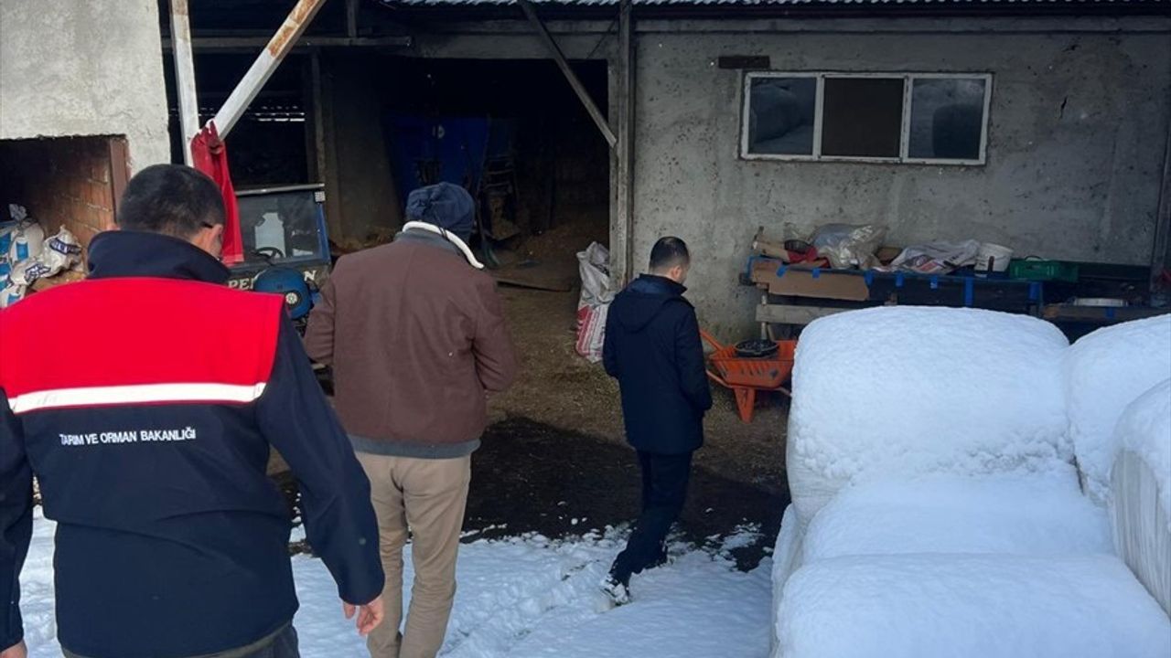 Zonguldak'ta Şap Hastalığı Şüphesiyle Köyde Karantina Uygulanıyor