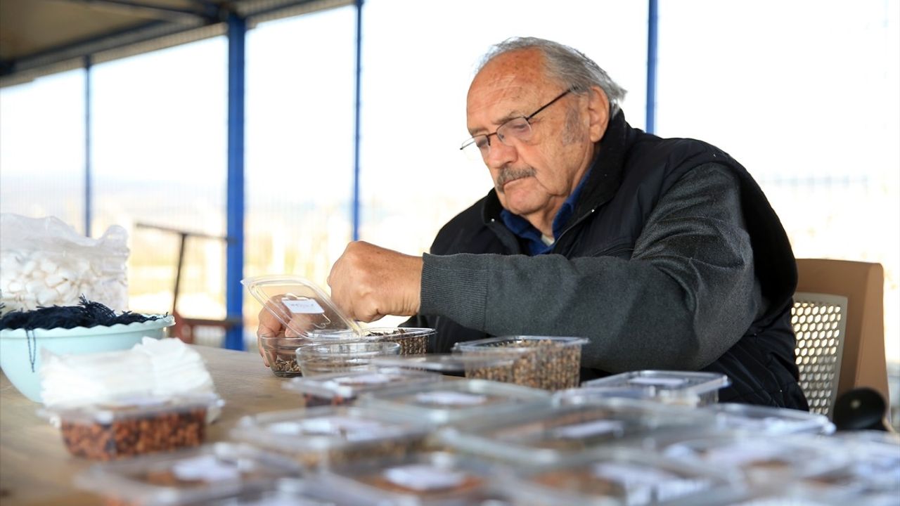 79 Yaşındaki Emekli Orman Mühendisi 'Yeşil Vatan' İçin Çalışıyor