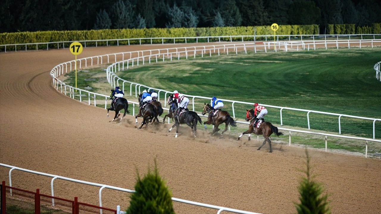 Adana'da Özgecan Aslan Kadına Şiddete Hayır Koşusu Düzenlendi