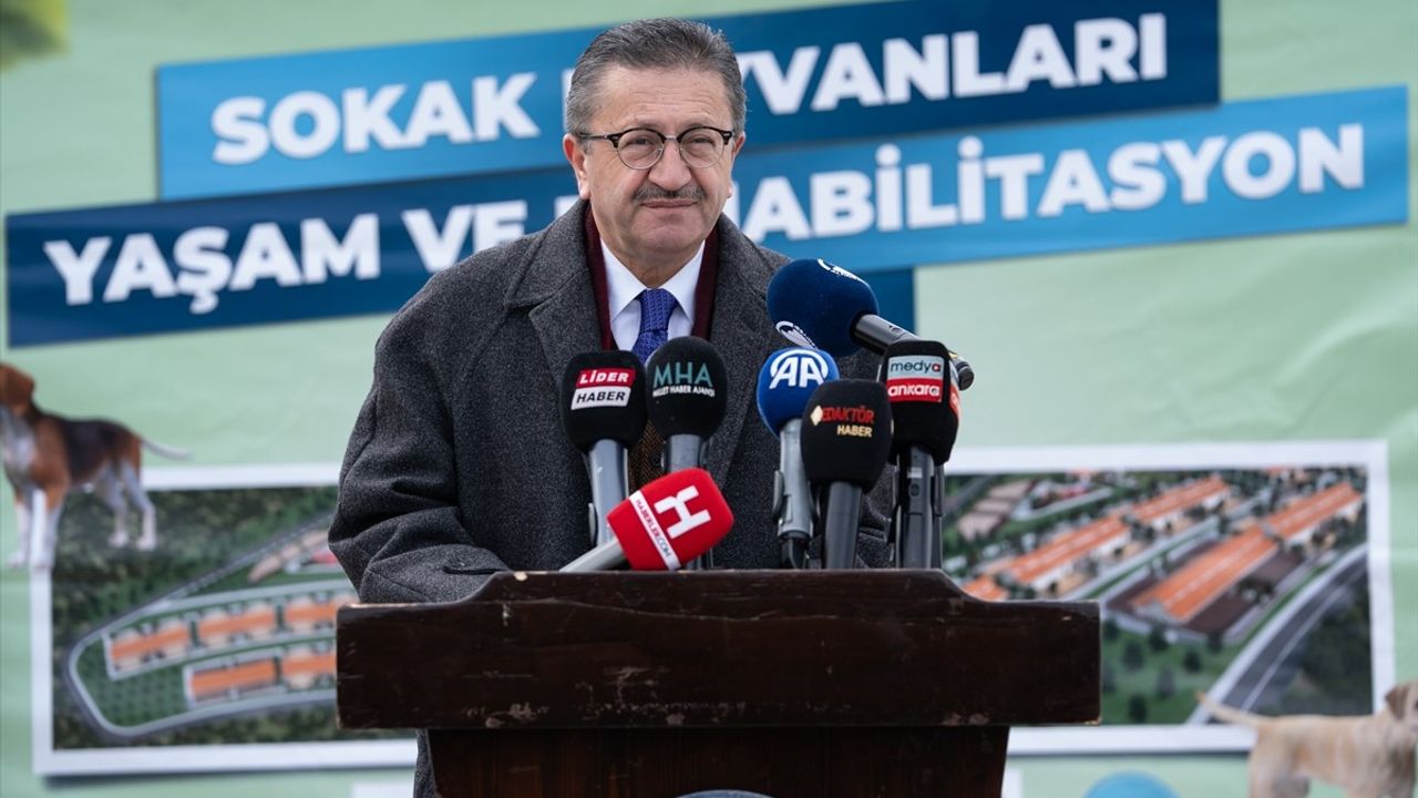 Altındağ'da Sokak Hayvanları İçin Rehabilitasyon Merkezi Kuruluyor