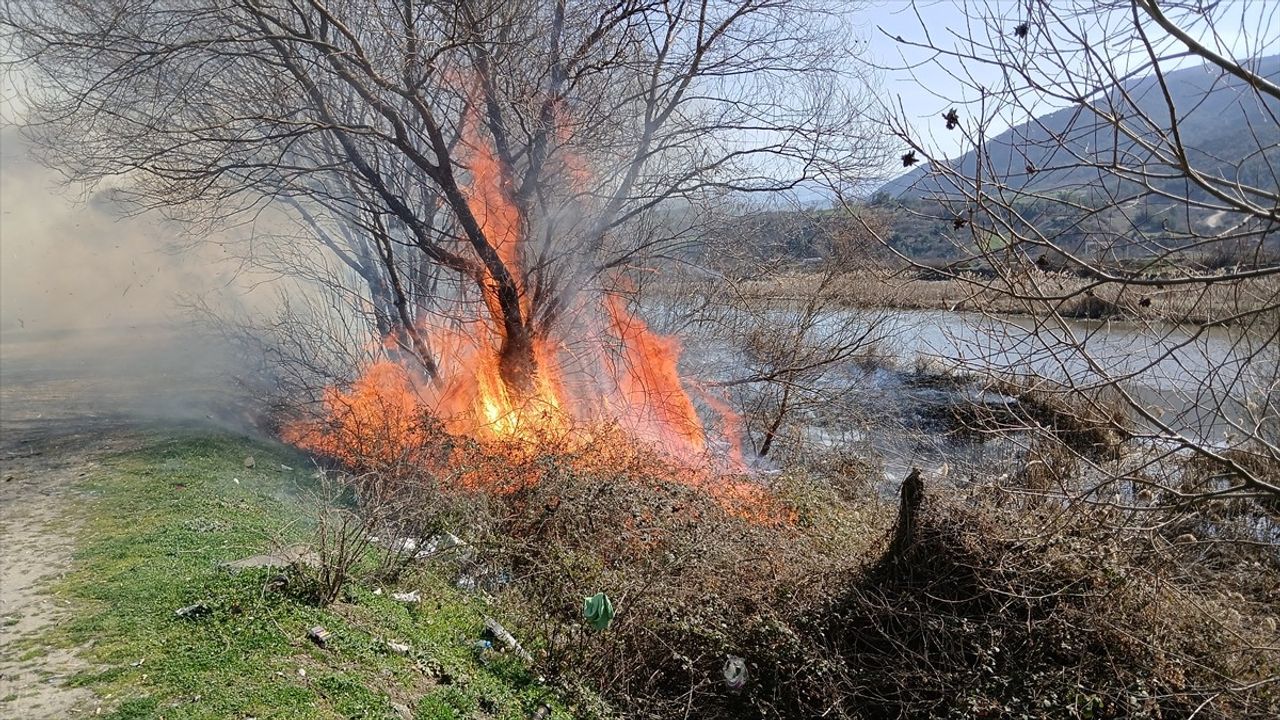 Amasya'da Yangın Kontrol Altına Alındı: Ağaçlık Alanı Kayıplardan Korudu