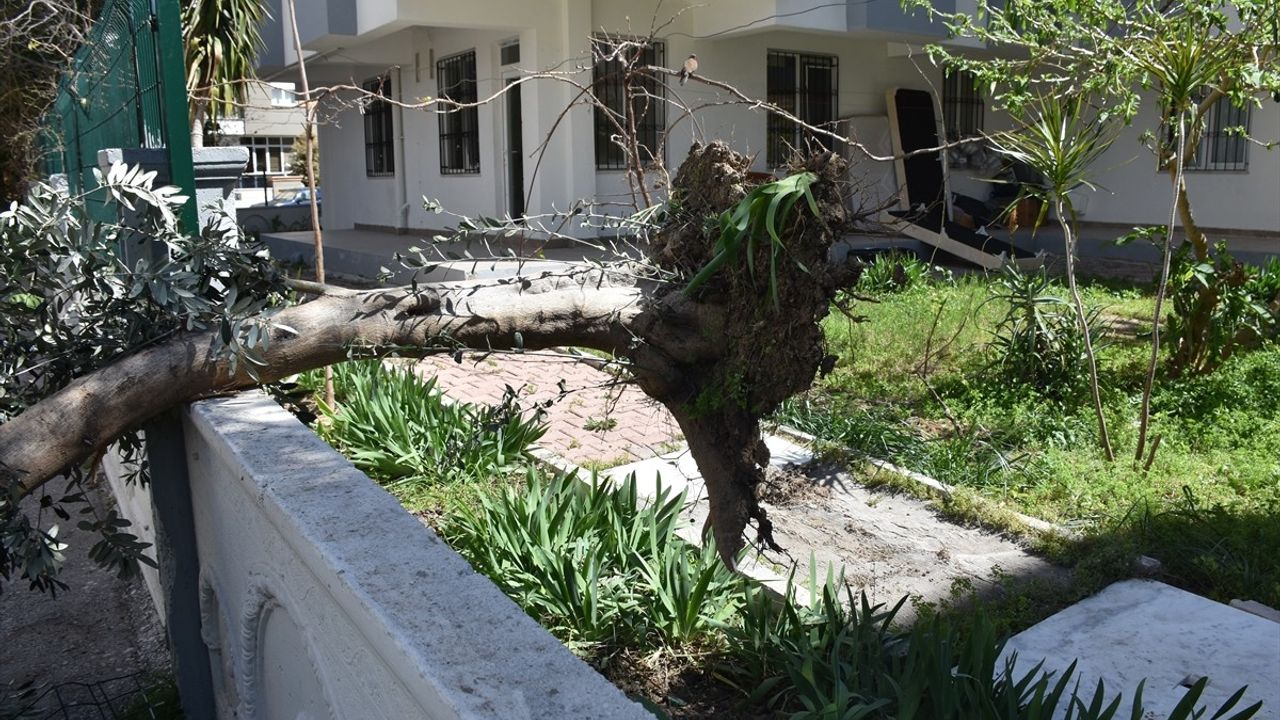 Antalya'da Kuvvetli Rüzgar Yaşamı Olumsuz Etkiledi