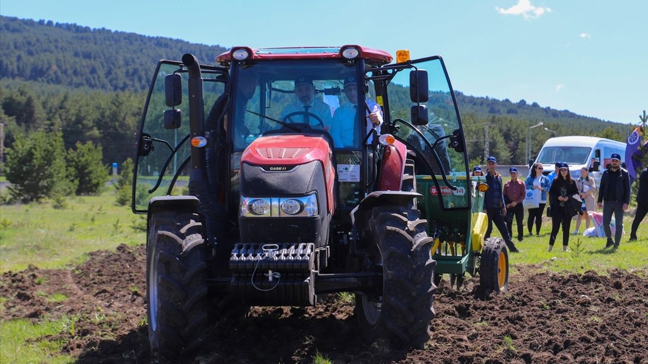 Ardahan Üniversitesi, 13 Bin Yıllık Kavılca Buğdayını Yeniden Hayata Geçirdi