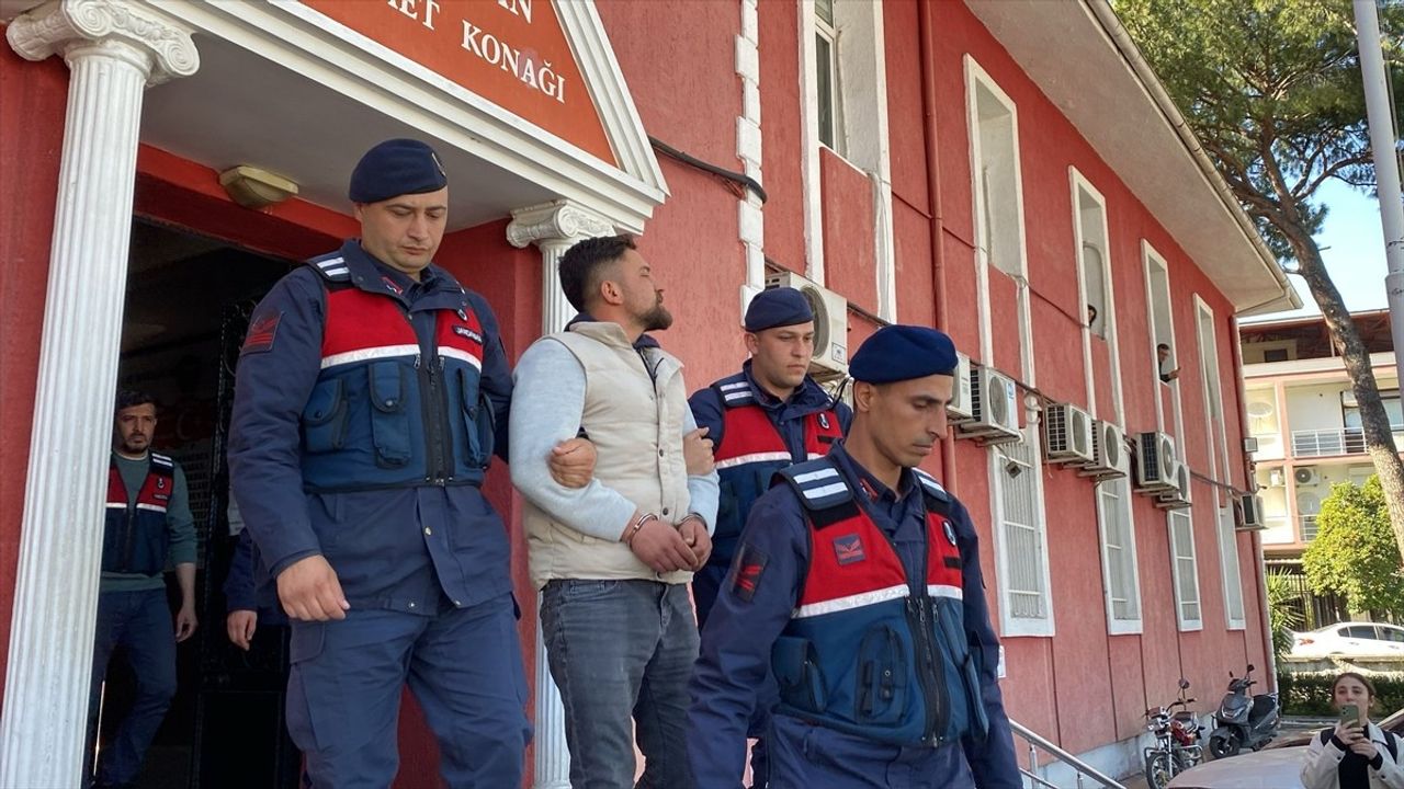 Aydın'da Deve Güreşlerinde Polis Memuruna Saldırı: Gözaltı Kararı Çıktı