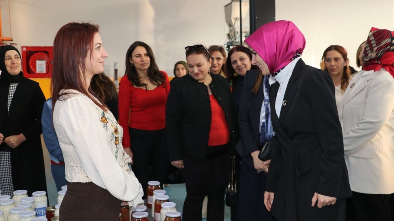 Bakan Göktaş, Hatay'da Kadın Girişimcilerle Buluştu