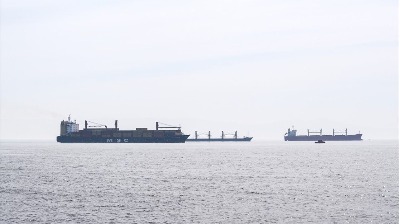 Bakırköy'de Kriz: Konteyner Gemisi Karaya Oturdu