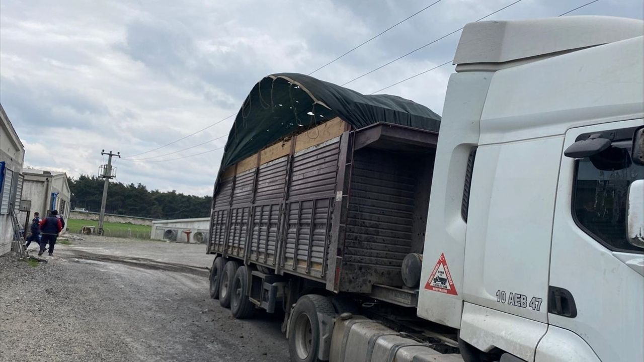Balıkesir'de Elektrik Akımına Kapılan Tır Şoförü Hayatını Kaybetti