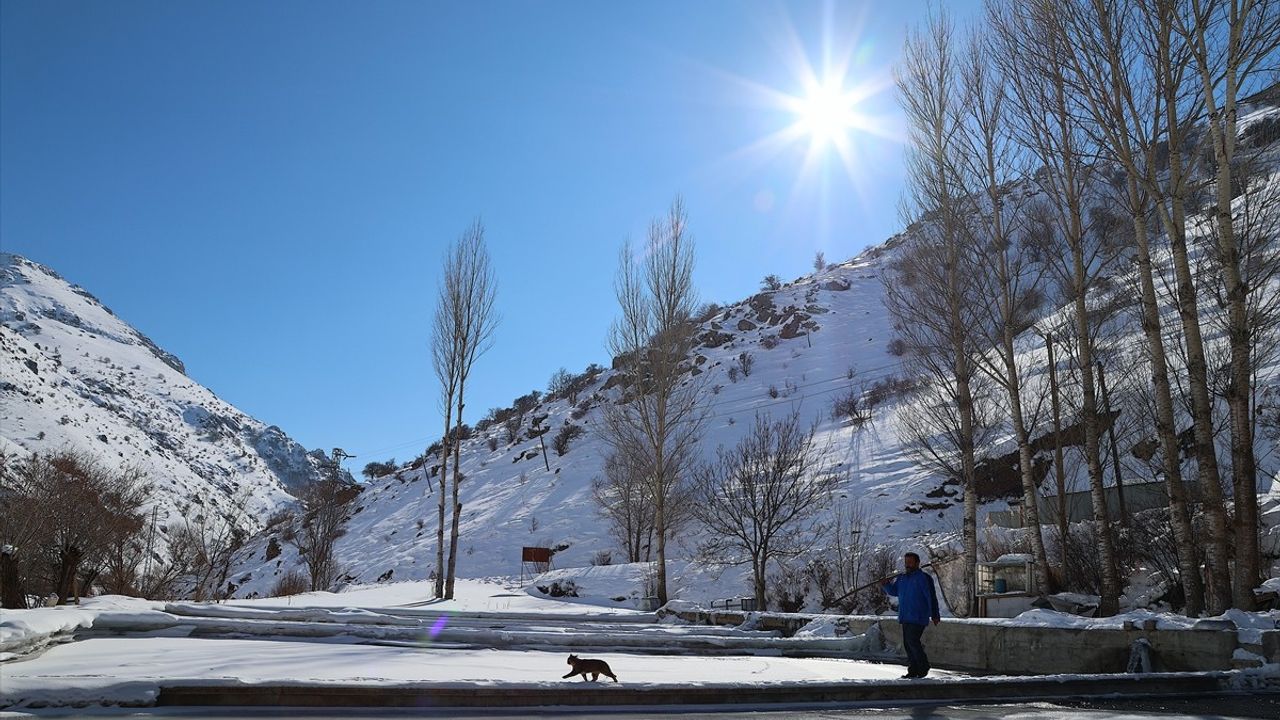 Bayburt'ta Dondurucu Soğukta Alabalık Üretim Mücadelesi