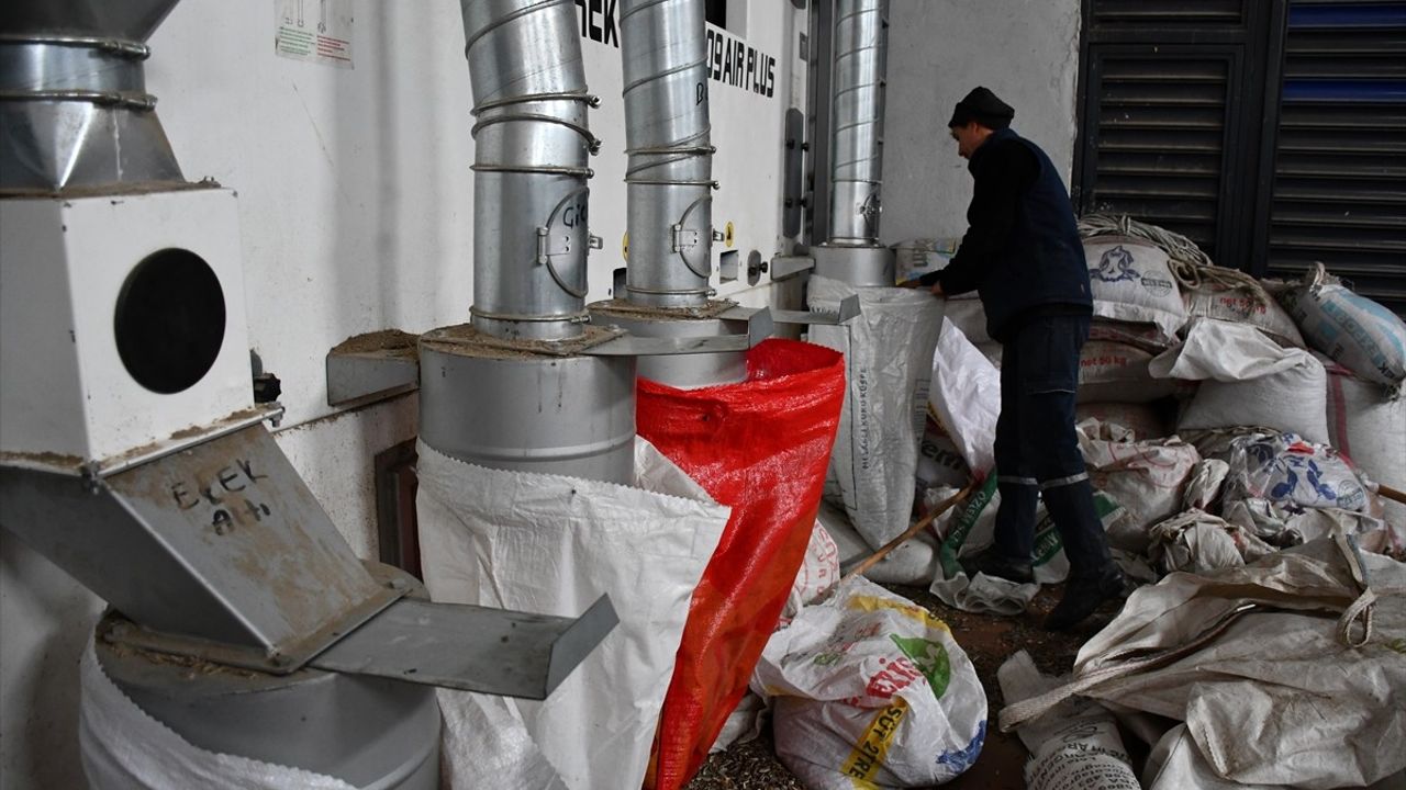 Bilecik'te Devlet Desteği ile Yılda 1000 Ton Ay Çekirdeği Eleyen Girişimci