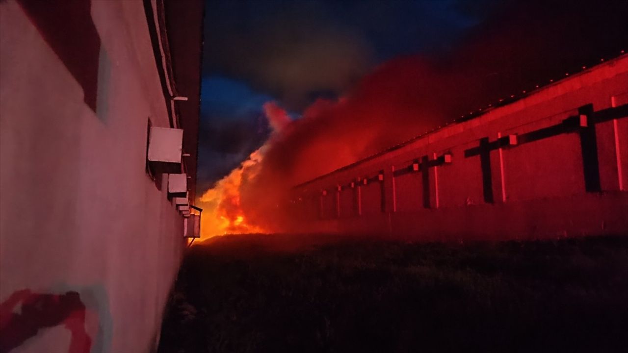 Bilecik'te Tavuk Çiftliği Yangını: Ekiplerin Hızlı Müdahalesi