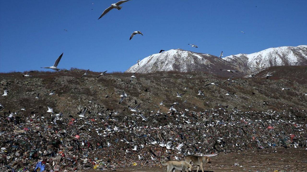 Bitlis'te Atıkların Geri Dönüşümü: Evler Aydınlatılırken Ekonomi Güçleniyor