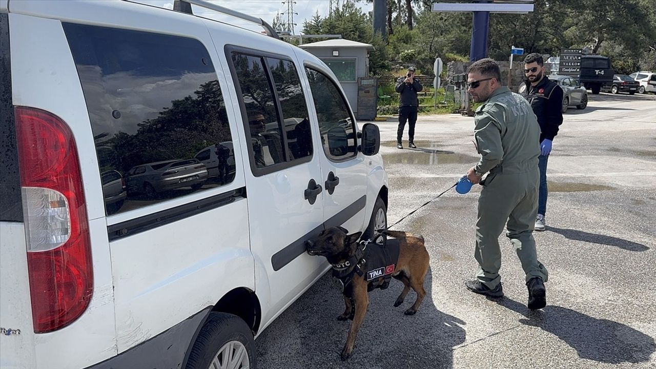 Bodrum'da Bayram Trafik Tedbirleri Arttı