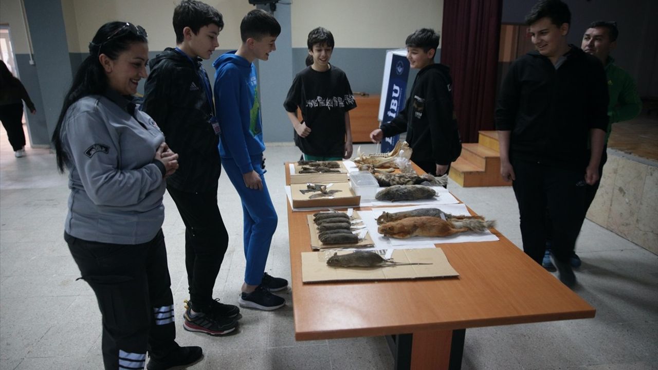 Bolu'da Öğrenciler Yaban Hayatını Keşfediyor