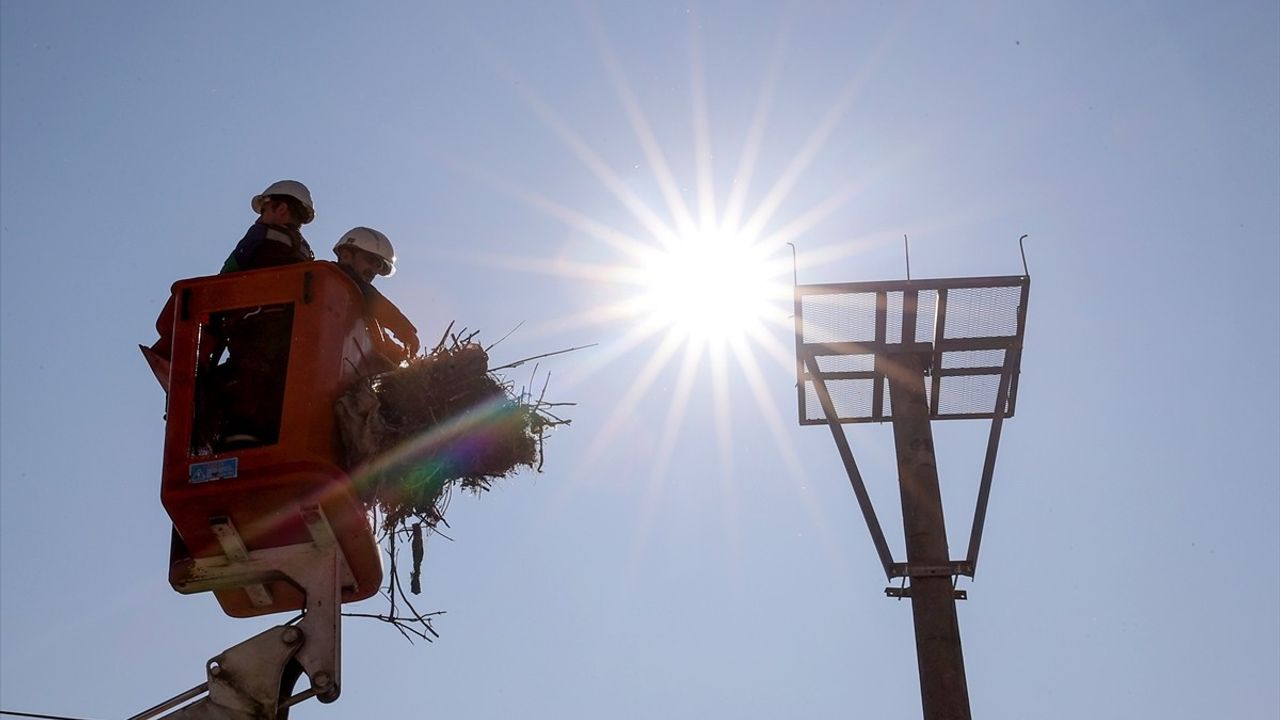 Bursa'da Leylekler İçin Yeni Yuvalar Hazırlandı