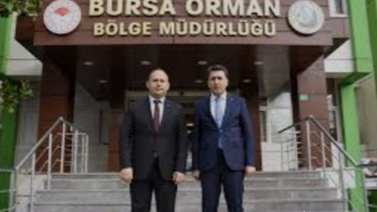 Bursa'da Ücretsiz Fidan Dağıtımı Coşkuyla Devam Ediyor