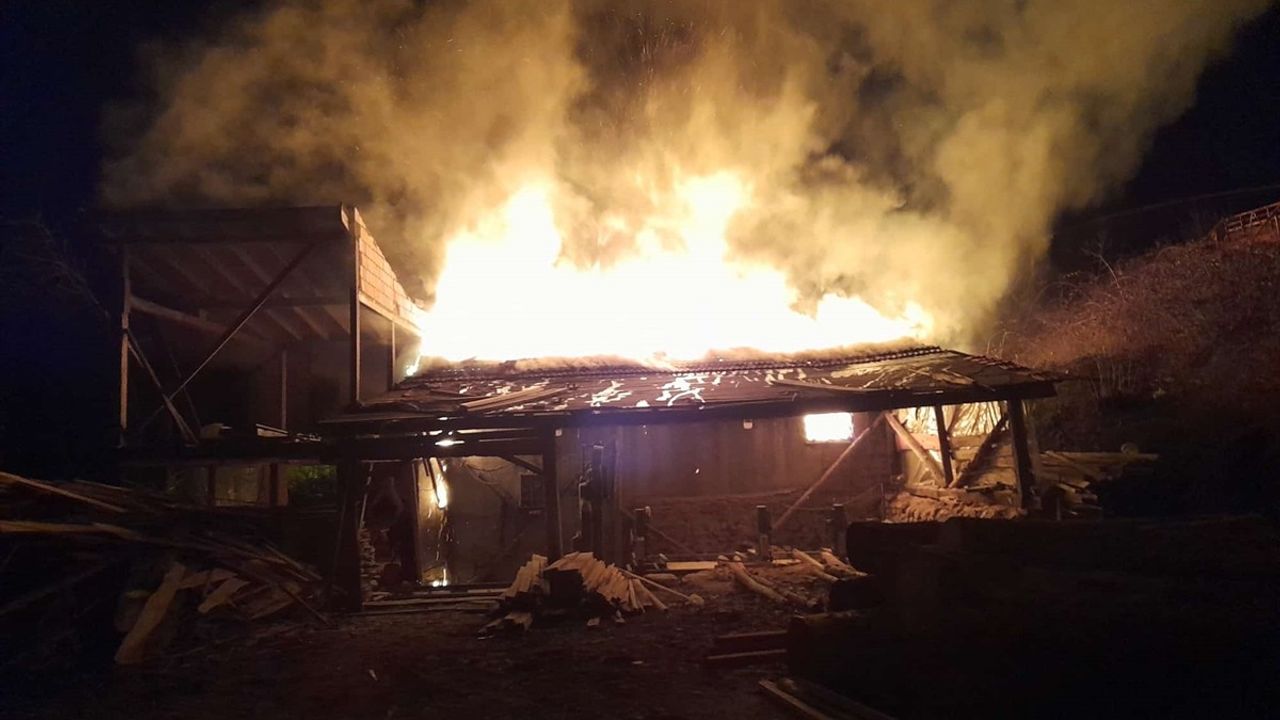 Bursa'da Yangın Faciası: Bedensel Engelli Kadın Hayatını Kaybetti