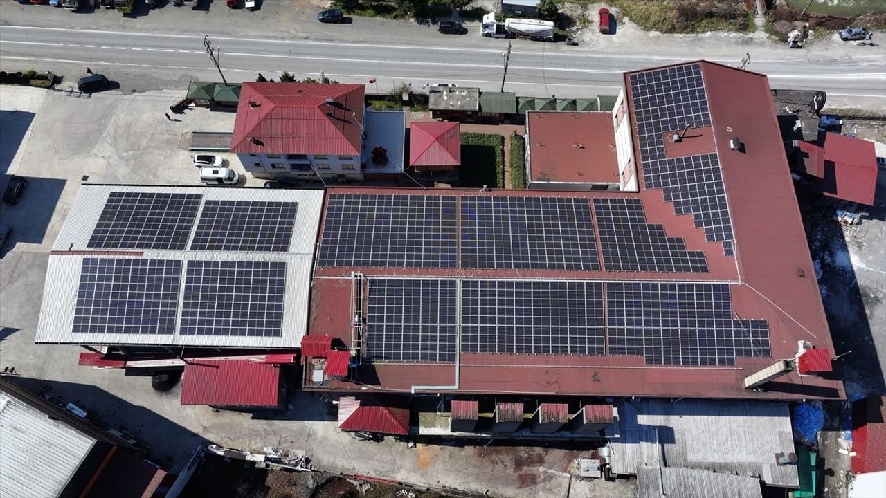 Çay Fabrikasında Enerji Maliyetleri Güneş Enerjisi ile %25 Düşürüldü