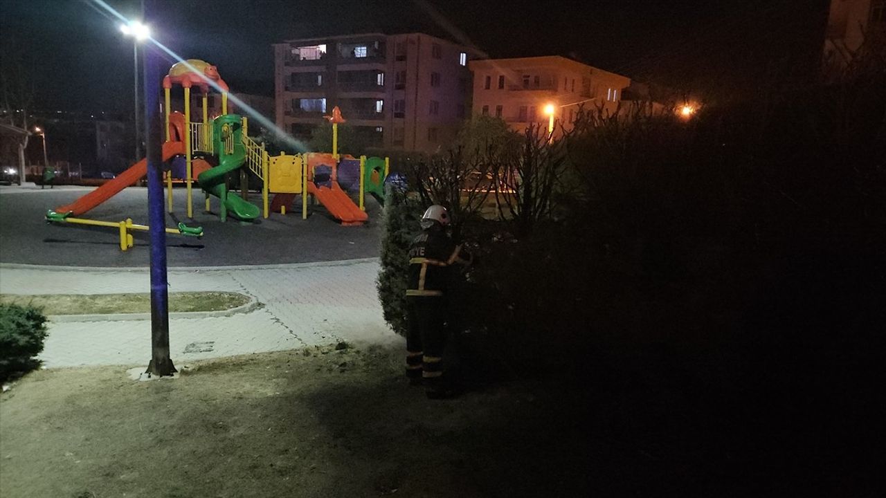 Çorum'da Torpil Yangını: Ağaçlar Zarar Gördü