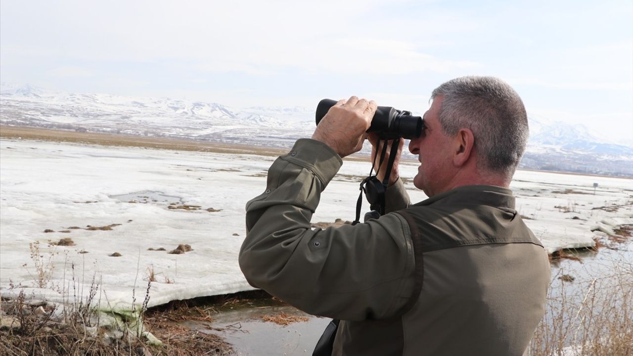 Doğu Anadolu'da Yaban Hayvanları İçin 14 Ton Yem Dağıtıldı