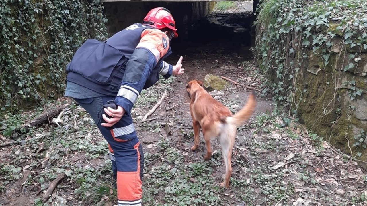 Ece Gürel'in Kaybolduğu Anın Görüntüsü Ortaya Çıktı