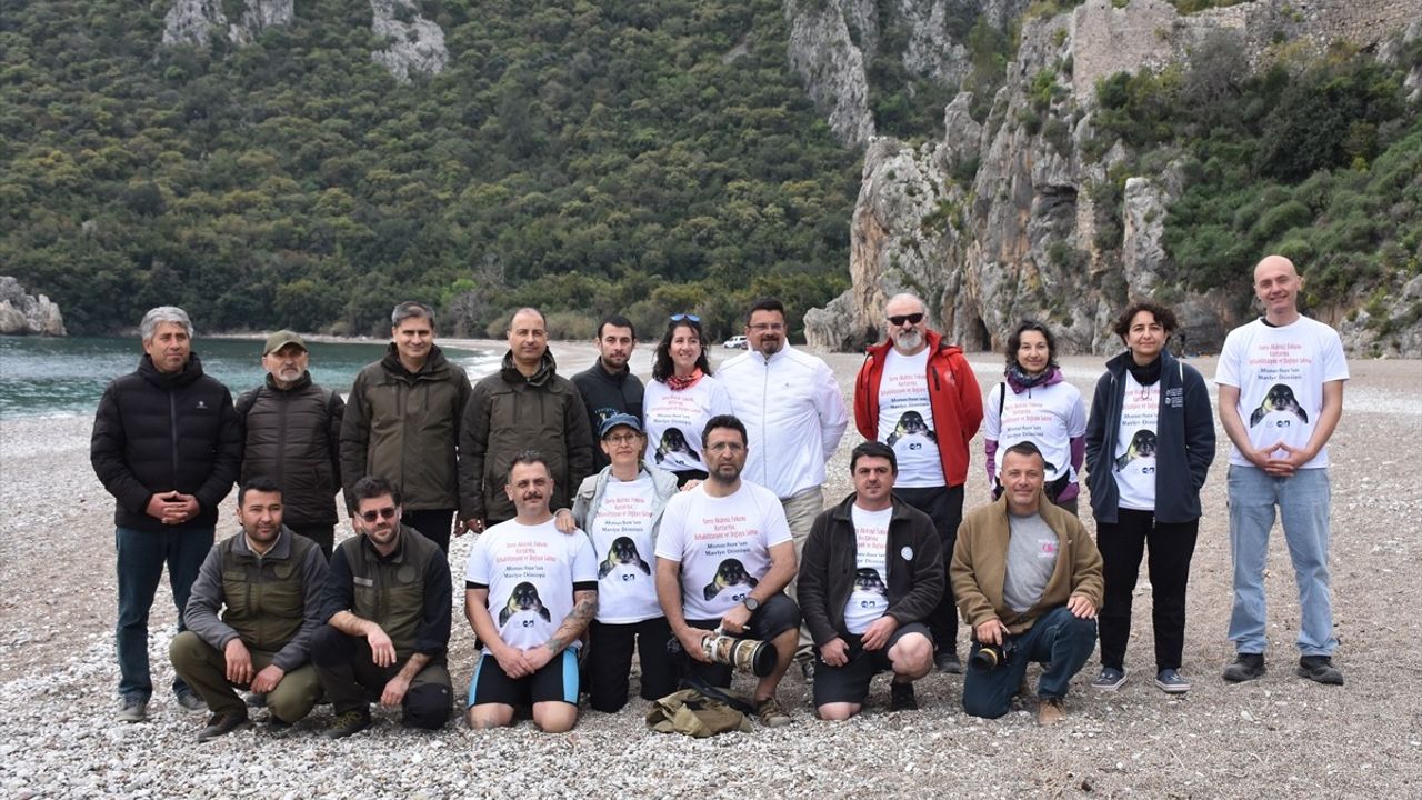 Eskişehir'de Tedavi Edilen Akdeniz Foku Yavrusu Antalya'da Denize Bırakıldı