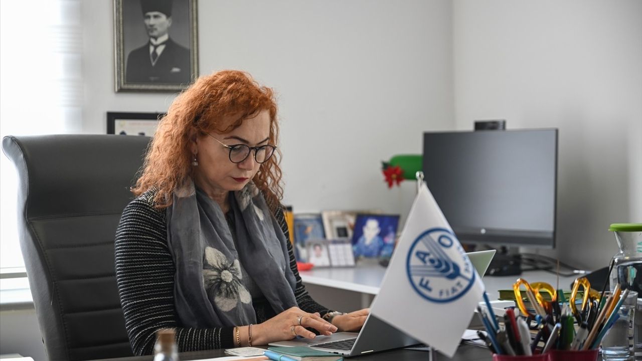 FAO Kadın Çiftçilere Destek Sağlıyor: Kadın Kotası Projeleriyle Daha Fazla Söz Sahibi!
