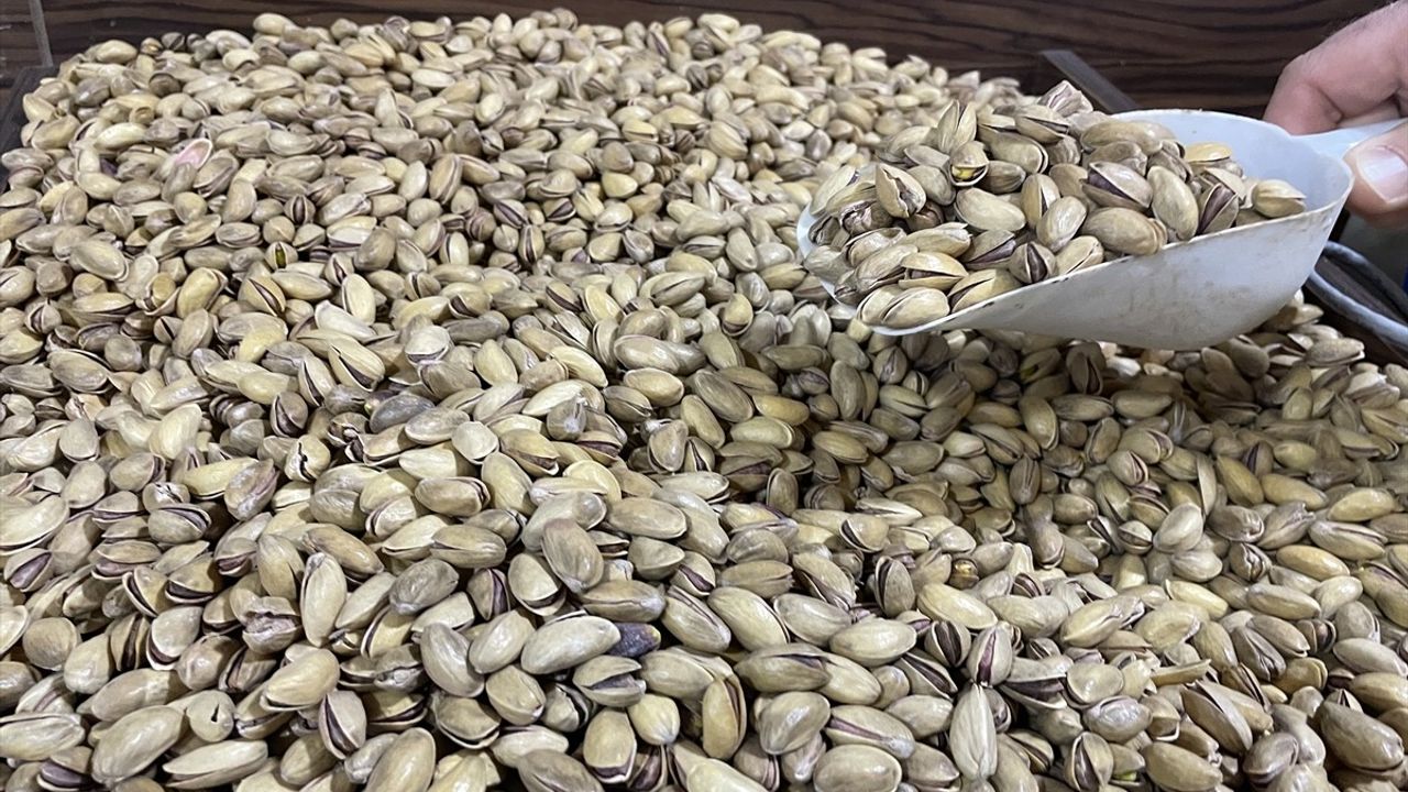 Fıstık Üretiminde Rekor Seviyeye Ulaşıldı: 383 Bin Ton