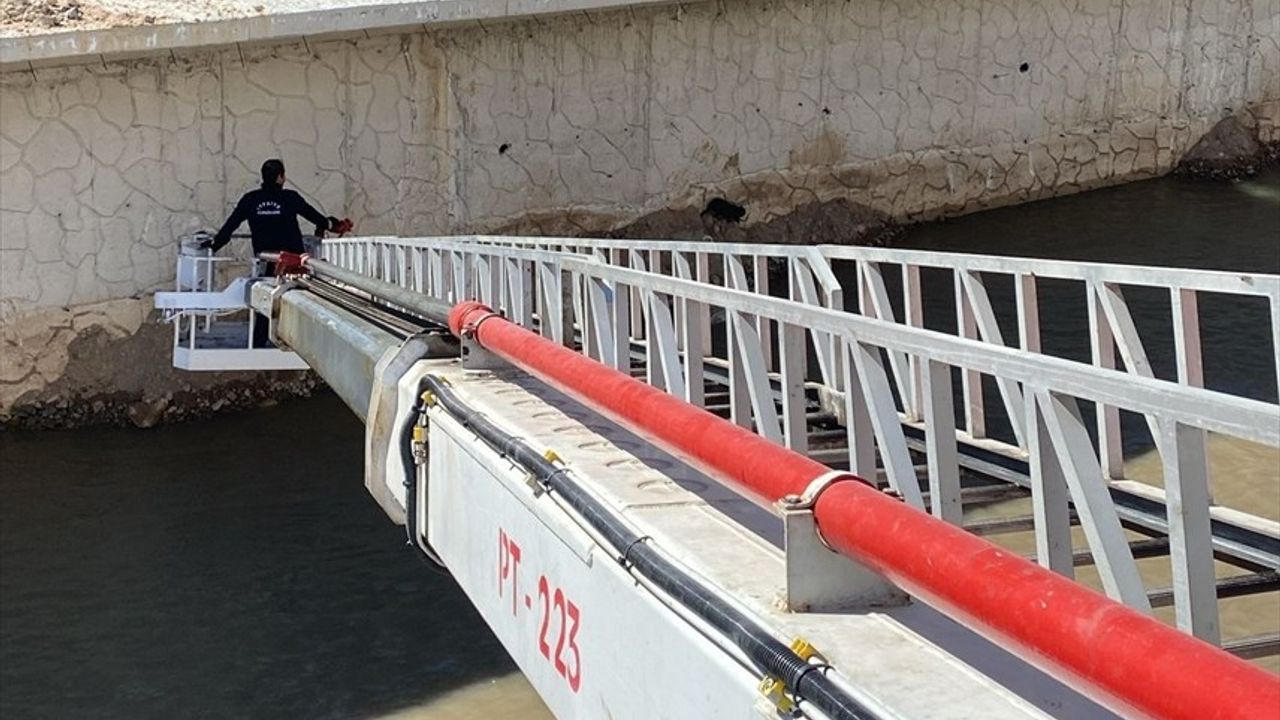 Gümüşhane'de Harşit Çayı'nda Mahsur Kalan 2 Kedi Kurtarıldı