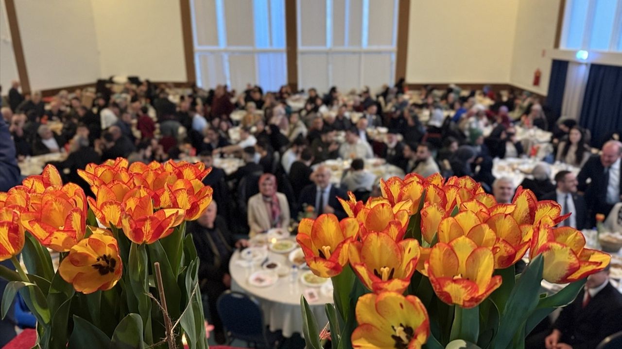 Hollanda'da Yeni Lale Türü 'Gelibolu' ile Anma Töreni Düzenlendi