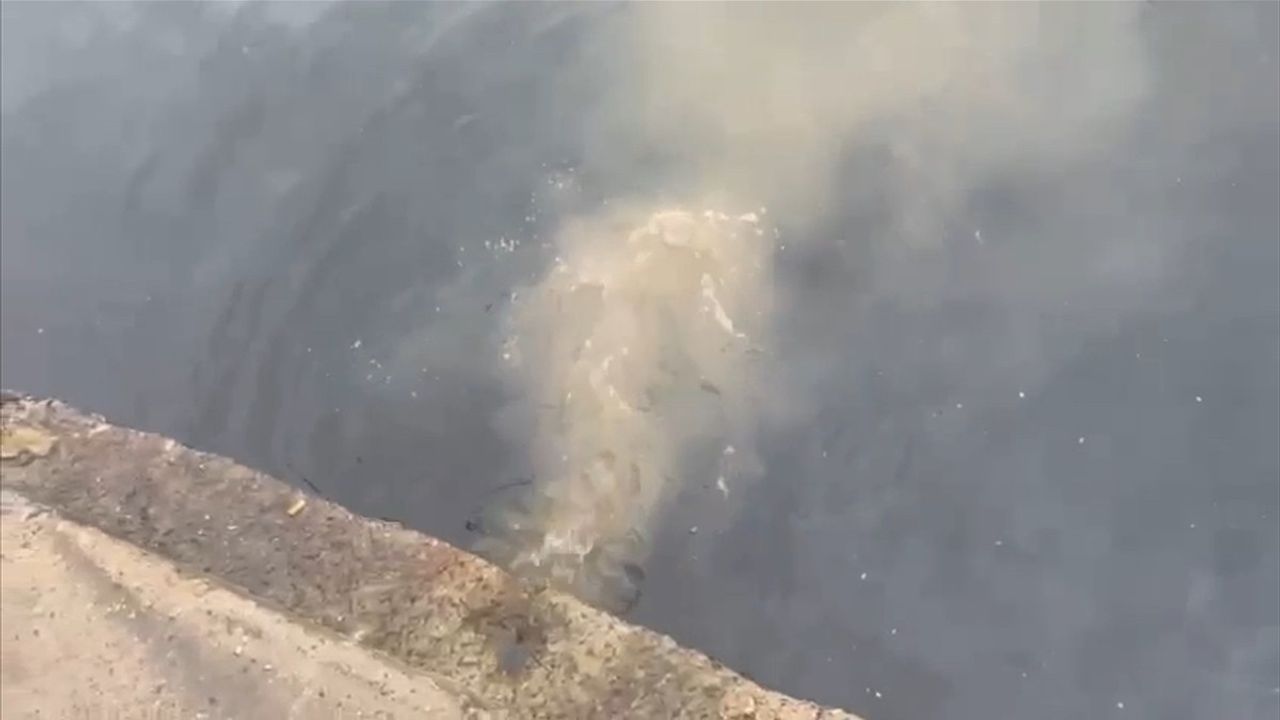 İSKİ'ye Marmara Denizi'ne Atık Su Deşarjı Nedeniyle 2,6 Milyon Lira Ceza