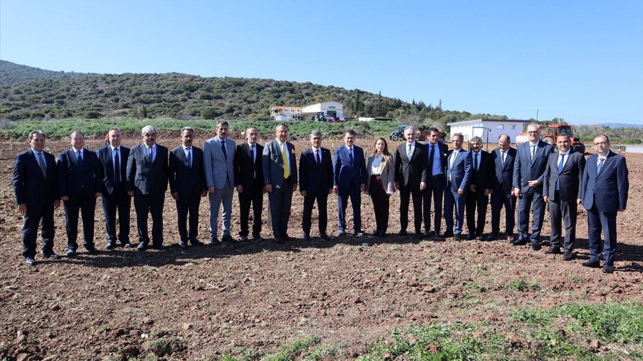 İzmir'de 'Kökten Hayata' Projesi: 4 Bin Fidan Toprakla Buluştu