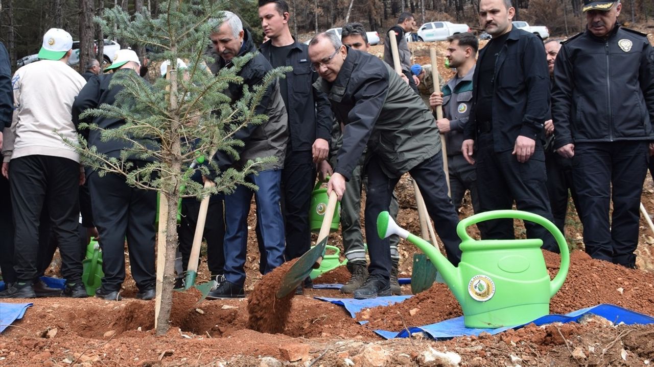 Kahramanmaraş'ta 4 Bin Kızılçam Fidanı Toprakla Buluşturuldu