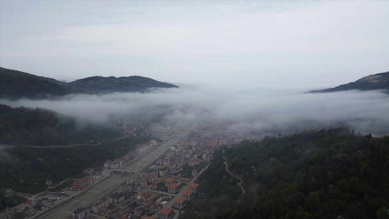 Kastamonu'da Görüş Mesafesini Azaltan Yoğun Sis Etkili Oluyor