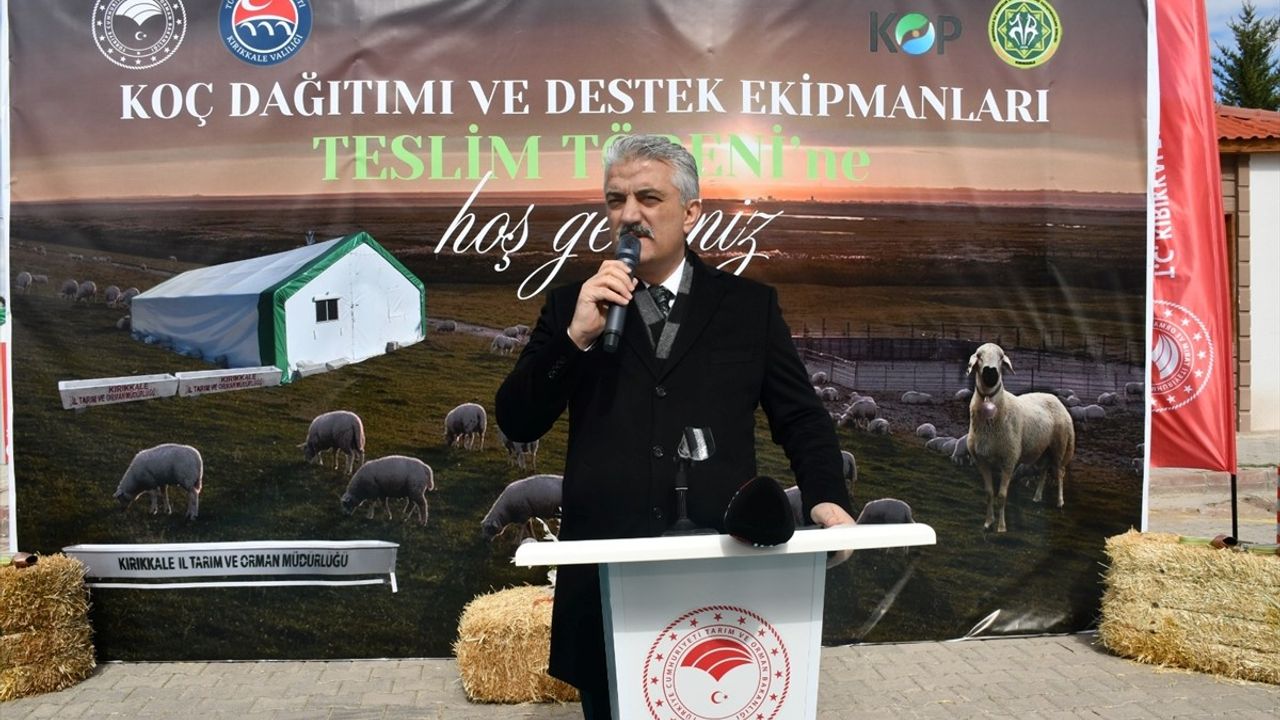 Kırıkkale'de 210 Damızlık Koç Üreticilere Dağıtıldı