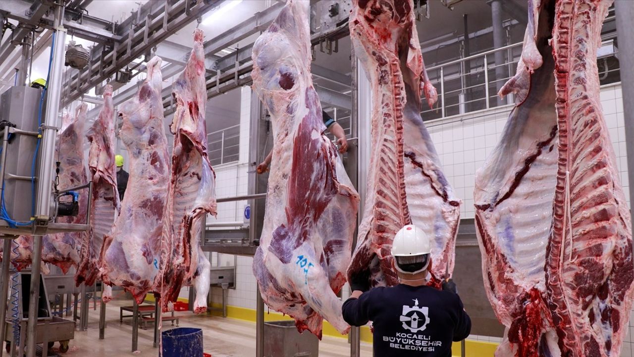 Kocaeli Mezbahalarında Ramazan Yoğunluğu Artıyor