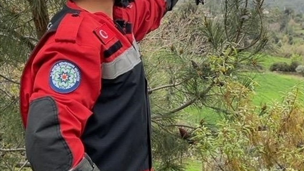 Muğla'da İpi Ayağına Dolanan Alakarga Kurtarıldı