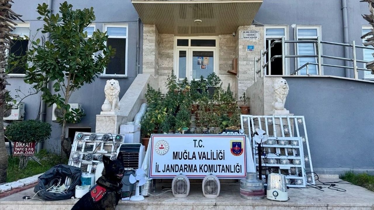 Muğla'da Uyuşturucu Operasyonu: 1 Zanlı Tutuklandı