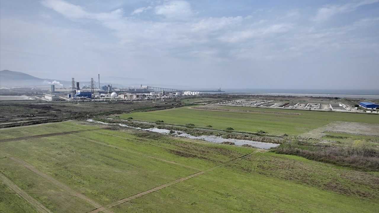 Muş, Chery'nin Yatırım Planlarını İnceledi: Samsun'da Yeni OSB Heyecanı