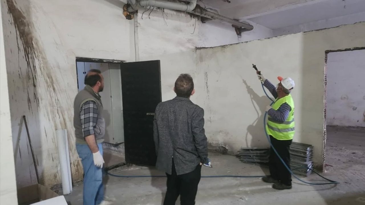 Samsun'da Kahverengi Kokarca ile Mücadele Devam Ediyor