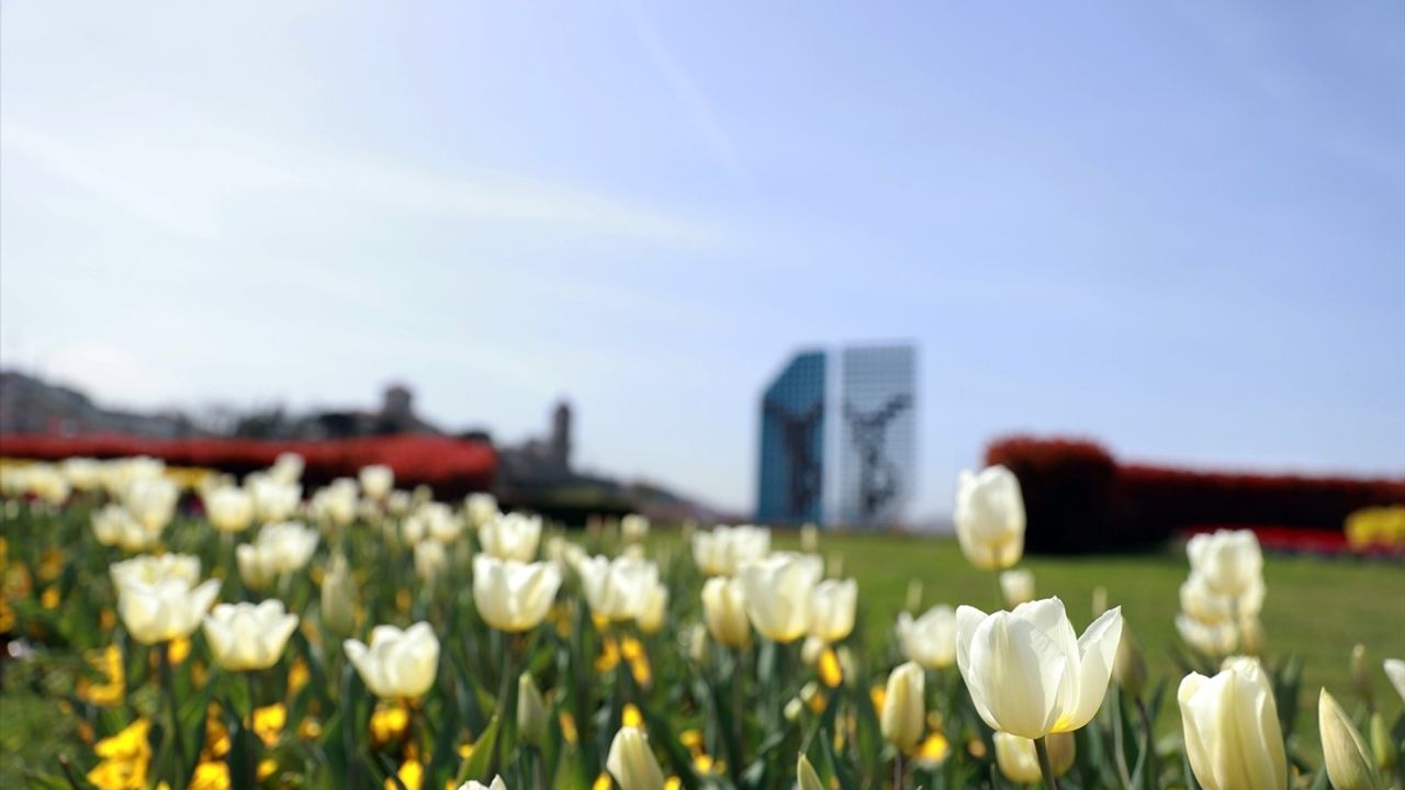 Trabzon'da İlkbahar Coşkusu: Şehir Renkleniyor
